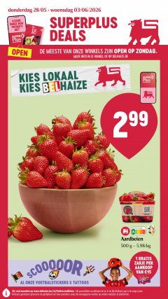 Delhaize